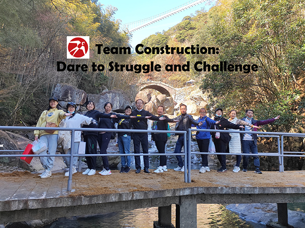 Team Construction - Dare to Struggle and Challenge